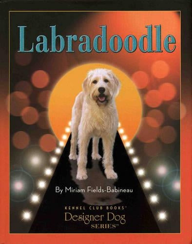 Labradoodle (Designer Dog)