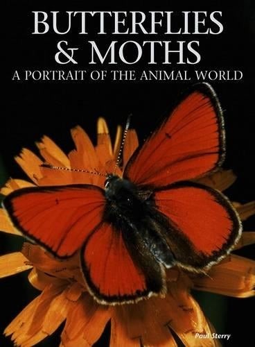 Butterflies & Moths: A Portrait of the Animal World
