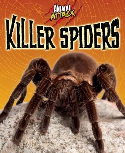 Killer Spiders (Animal Attack)