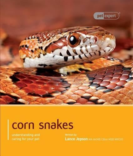 Corn Snakes - Pet Expert: Understanding and Caring for Your Pet