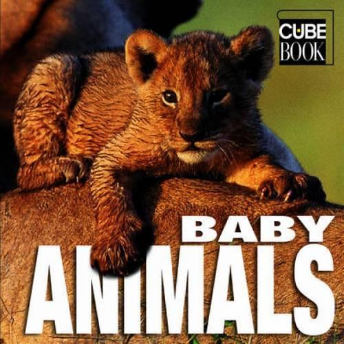 Baby Animals (Cubebook)