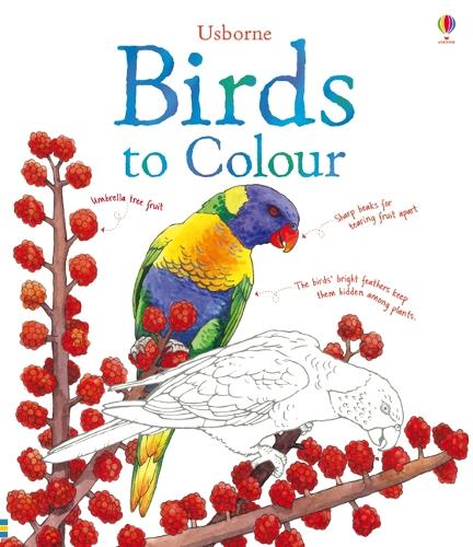 Birds to Colour (Nature Colouring Books)