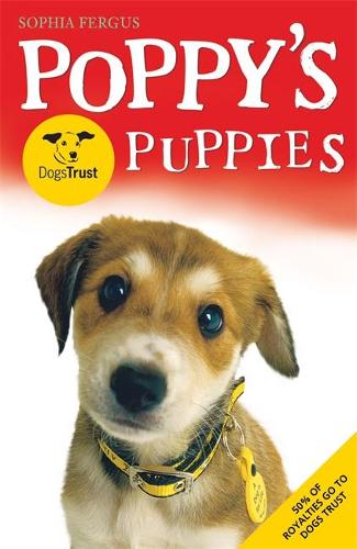 Poppys Dogs Trust Puppies