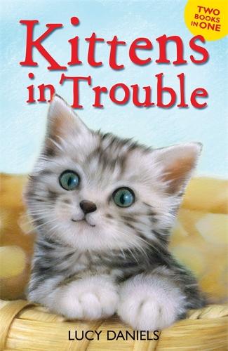 Kittens in Trouble (Kittens in the Kitchen & Kitten in the Cold) (Animal Ark)