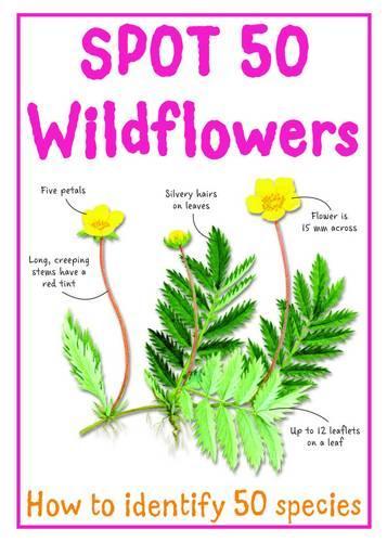 Spot 50 Wildflowers (Spot 50s)