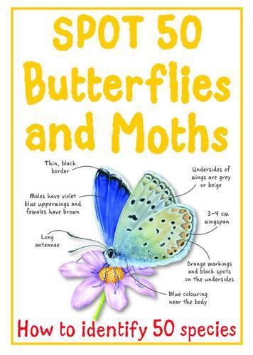 Spot 50 Butterflies and Moths (Spot 50s)