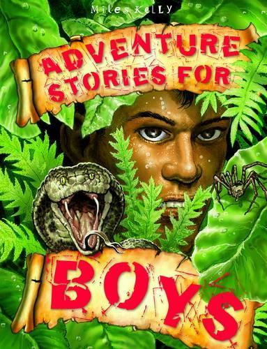 Adventure Stories for Boys (512-page fiction)