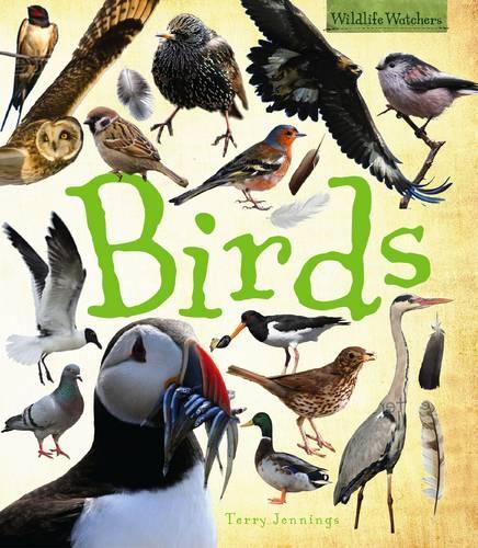 Birds (Wildlife Watchers)