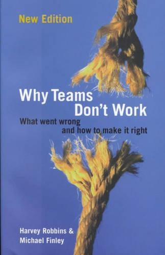 Why Teams Dont Work: What Went Wrong and How to Make it Right (Business Essentials)