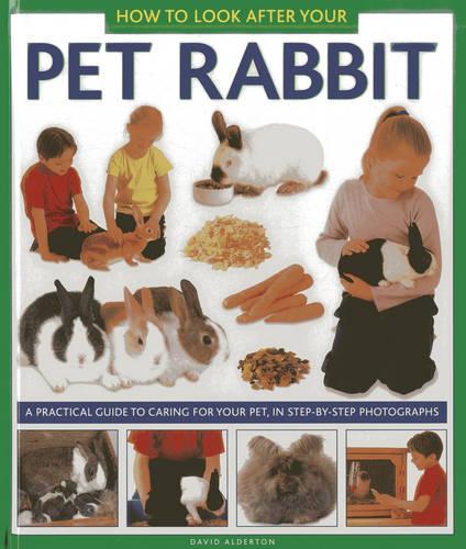 How to Look After Your Pet Rabbit: A Practical Guide to Caring for Your Pet, in Step-by-step Photographs