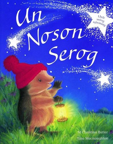 Un Noson Serog