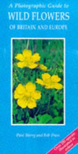 Wild Flowers