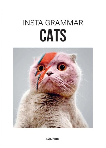 Insta Grammar: Cats: the best of Instagram