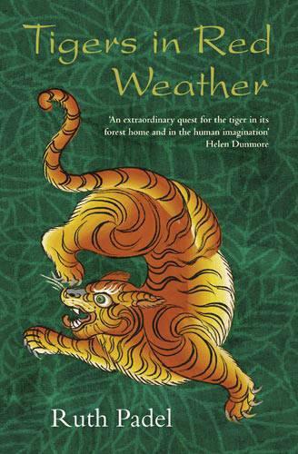 Tigers In Red Weather