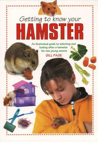 Getting to Know Your Hamster (Getting to Know)