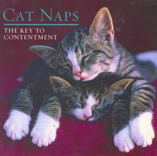 Cat Naps: The Key to Contentment (Pets)