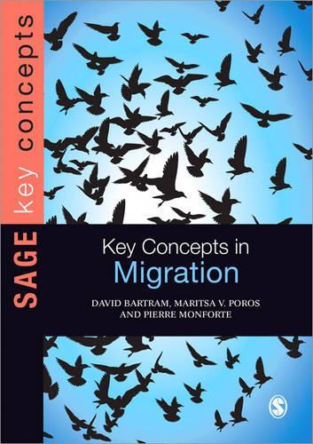 Pecked to Death by Ducks (SAGE Key Concepts series)