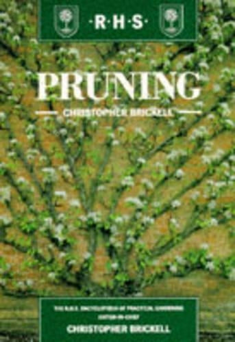 Pruning
