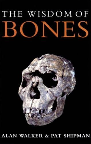 The Wisdom Of Bones: In Search Of Human Origins