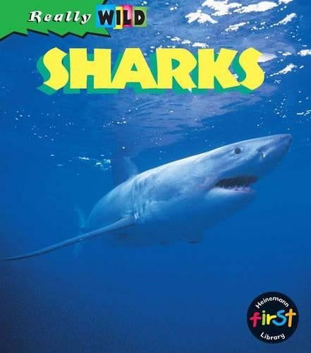 Shark (Really Wild)