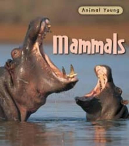 Mammals (Animal Young)