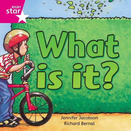 Rigby Star Independent Pink Reader 7: What is It?