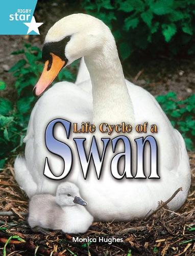 Rigby Star Independent Year 2 Turquoise Non Fiction Life Cycle of a Swan Single: Turquoise Level Non-fiction