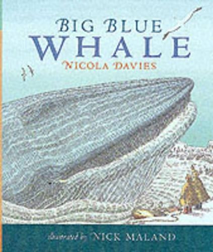 Big Blue Whale (Read & Wonder)