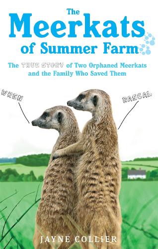The Meerkats Of Summer Farm: The True Story of Two Orphaned Meerkats and the Family Who Saved Them