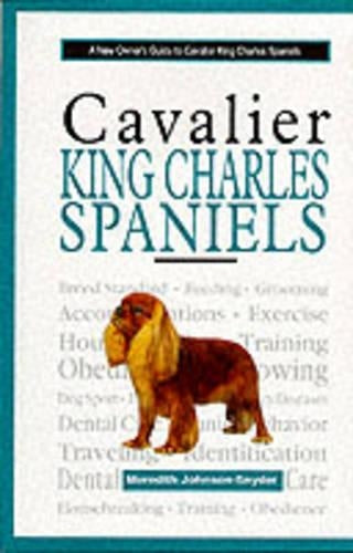 A New Owners Guide to Cavalier King Charles Spaniels
