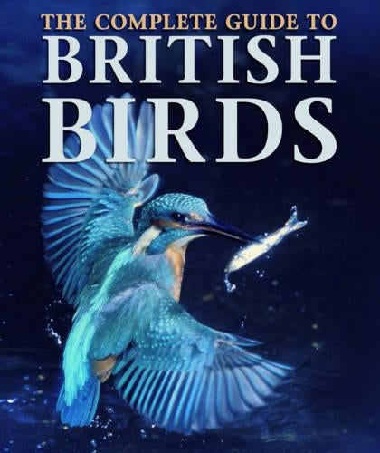 British Birds (Focus on)