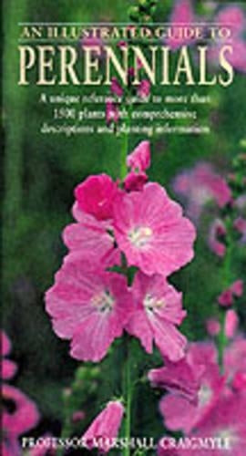 An Illustrated guide to perennials