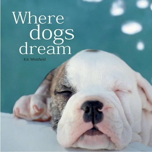 Where Dogs Dream (Gift Book)