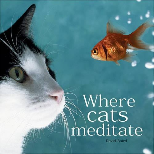 Where Cats Meditate (Gift Book)