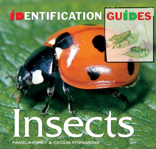 Insects Identification Guide by Fitzsimons, Cecilia ( Author ) ON Jul-04-2007, Paperback