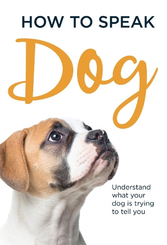 How to Speak Dog: Understand What Your Dog Is Trying to Tell You