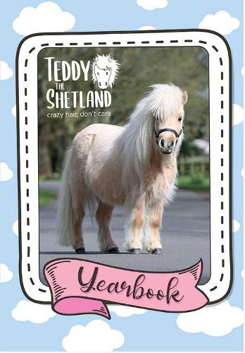 Teddy the Shetland Yearbook