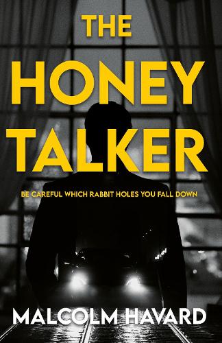 The Honey Talker: A Crime Thriller (The Aiden Hughes Series)