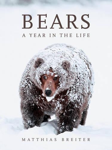 Bears: A Year in the Life