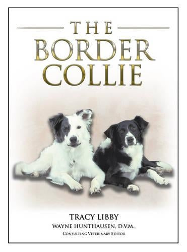 The Border Collie