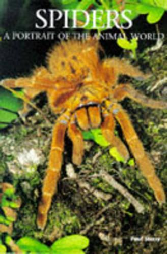 Spiders (A Portrait of the Animal World)