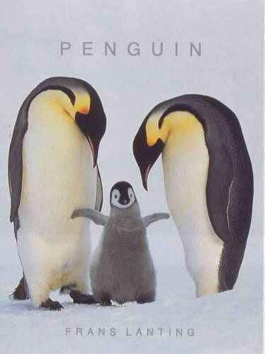 Penguins (Photobook)