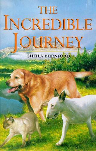 Incredible Journey (Childrens Classics and Modern Classics)