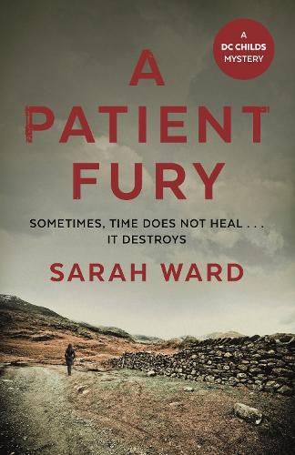 A Patient Fury (DC Childs mystery)