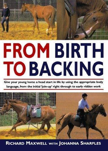 From Birth to Backing The Complete Handling of the Young Horse by Sharples, Johanna ( Author ) ON Oct-26-2001, Paperback