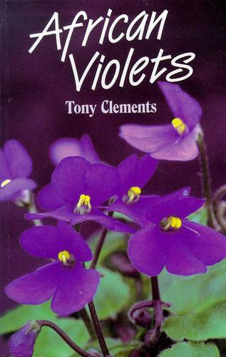 African Violets