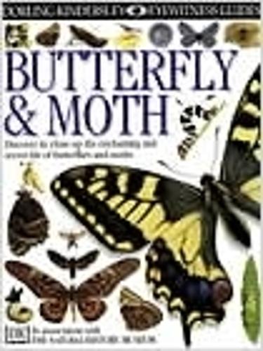 Butterfly and Moth (Eyewitness Guides)