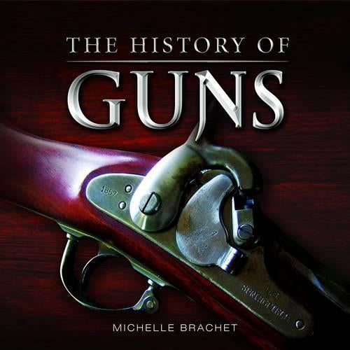 Little Book of Guns (Little Books)