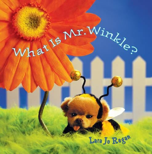 What is Mr Winkle?