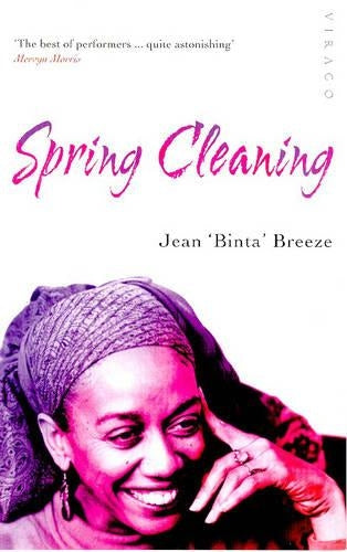 Spring Cleaning (Virago Poetry)